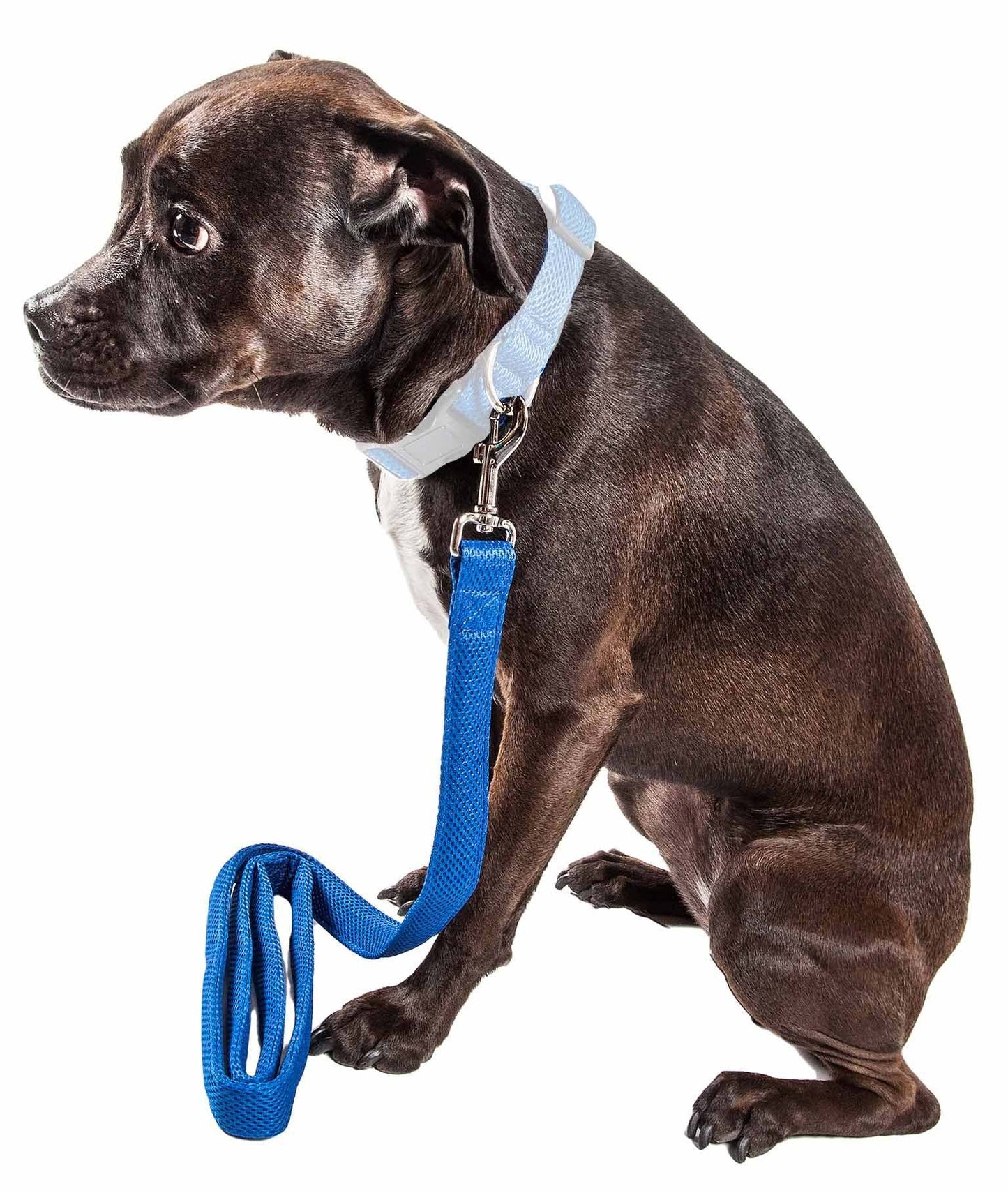 Pet Life 'Aero Mesh' Comfortable Adjustable Dog Leash