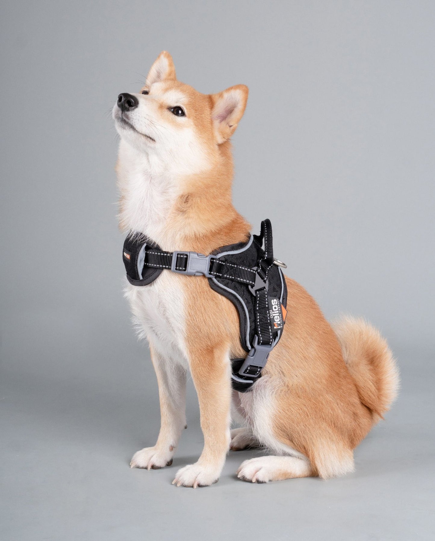 Helios 'Scorpion' Sporty High-Performance Free-Range Dog Harness