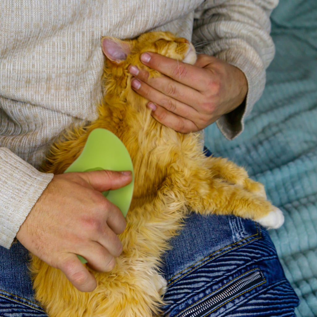 3 In 1 Grooming Steam Cleaning Brush for Cats and Dogs - USB Rechargeable