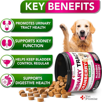 Natural Urinary and Bladder Control Treatment Cranberry Chews for Dogs