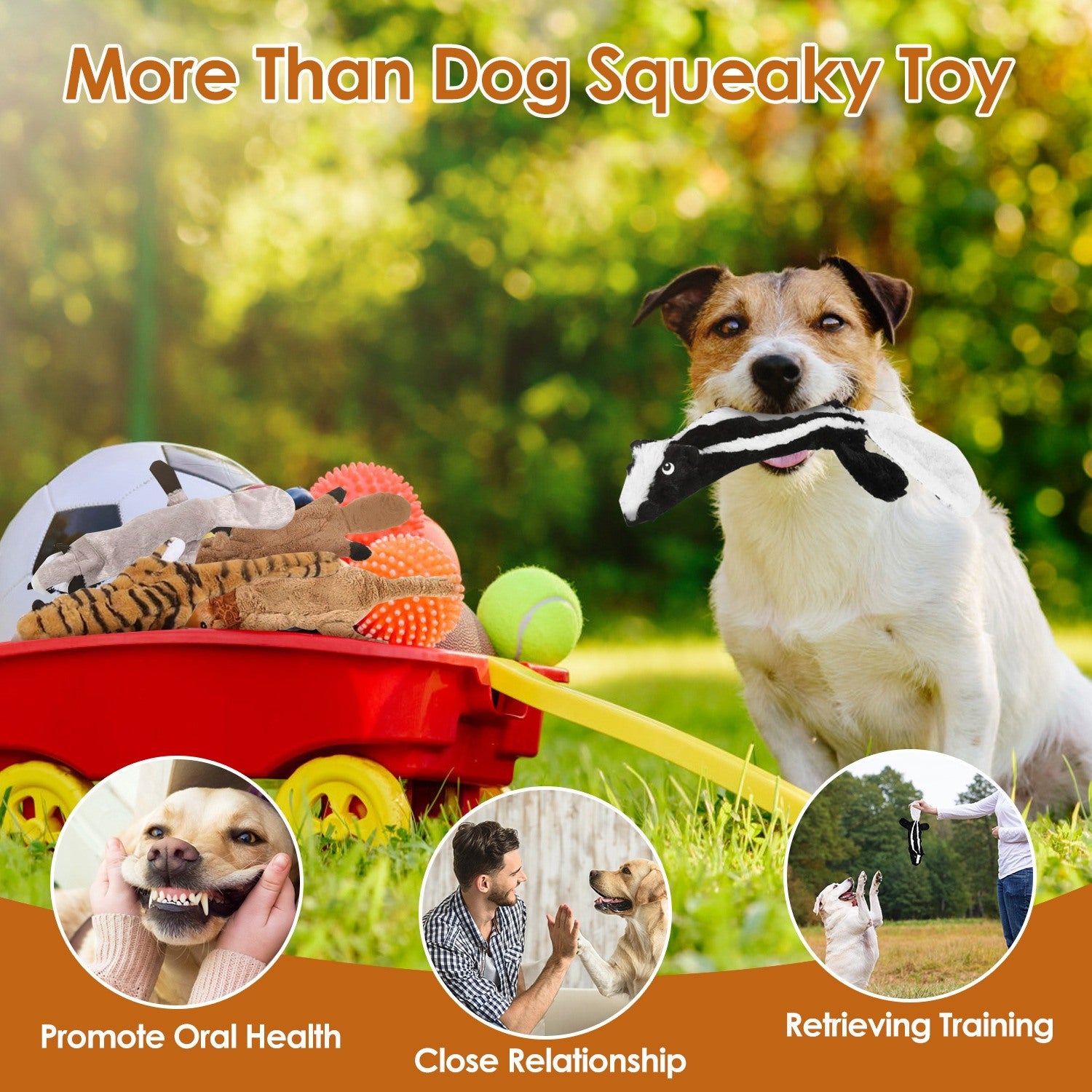 5 Piece No Stuffing Toys With Squeaky Balls for Dogs