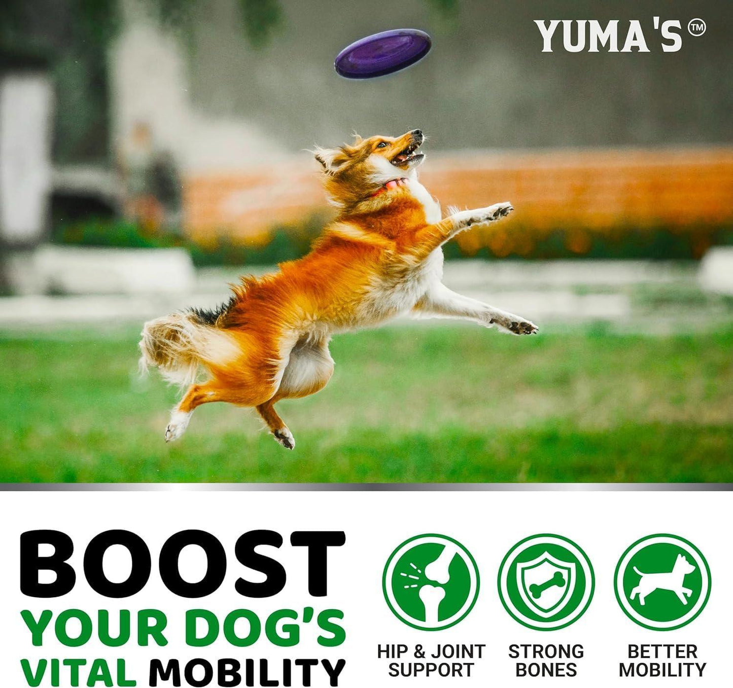 Limited Yuma's - 2 Pack Glucosamine With Chondroitin Joint Pain Relief for Dogs