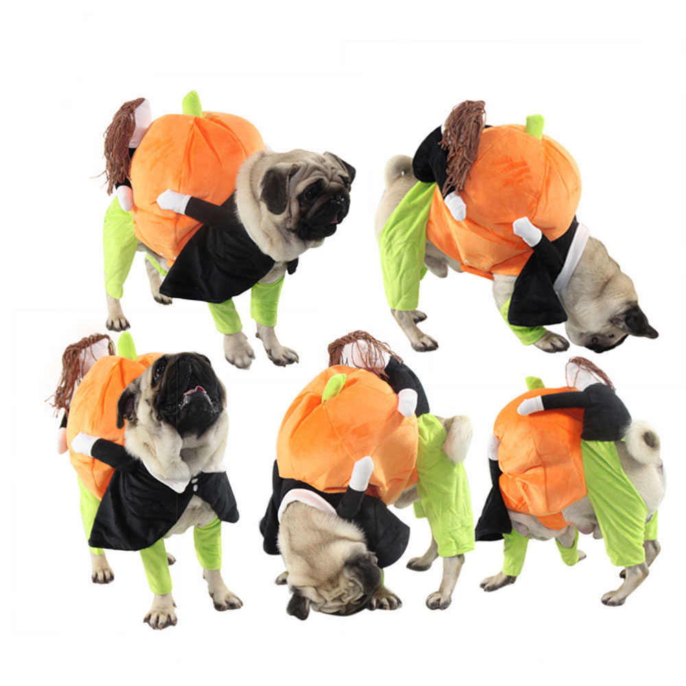 Pet Life - 'Pumpkin Man' Halloween Costume for Dogs