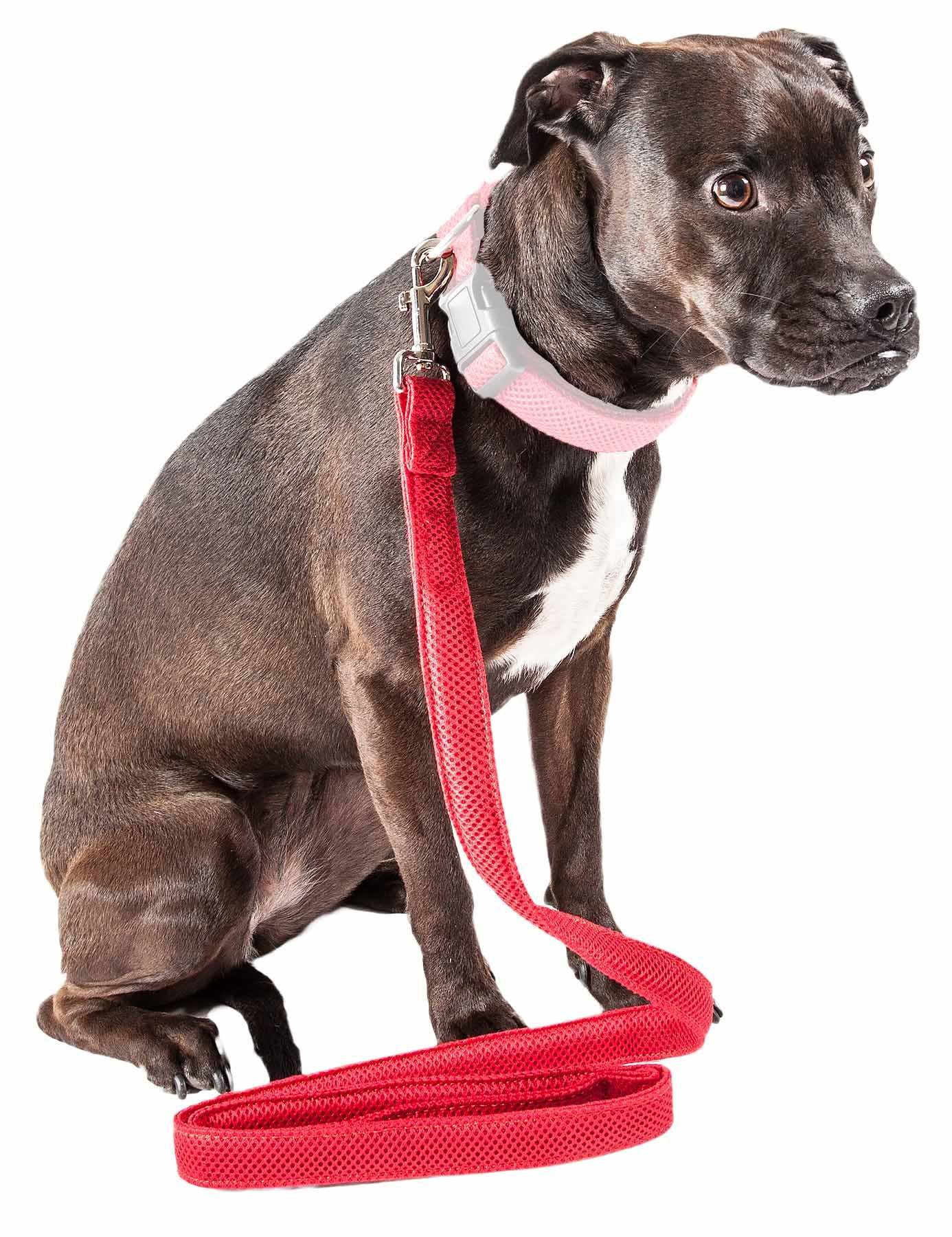 Pet Life 'Aero Mesh' Comfortable Adjustable Dog Leash