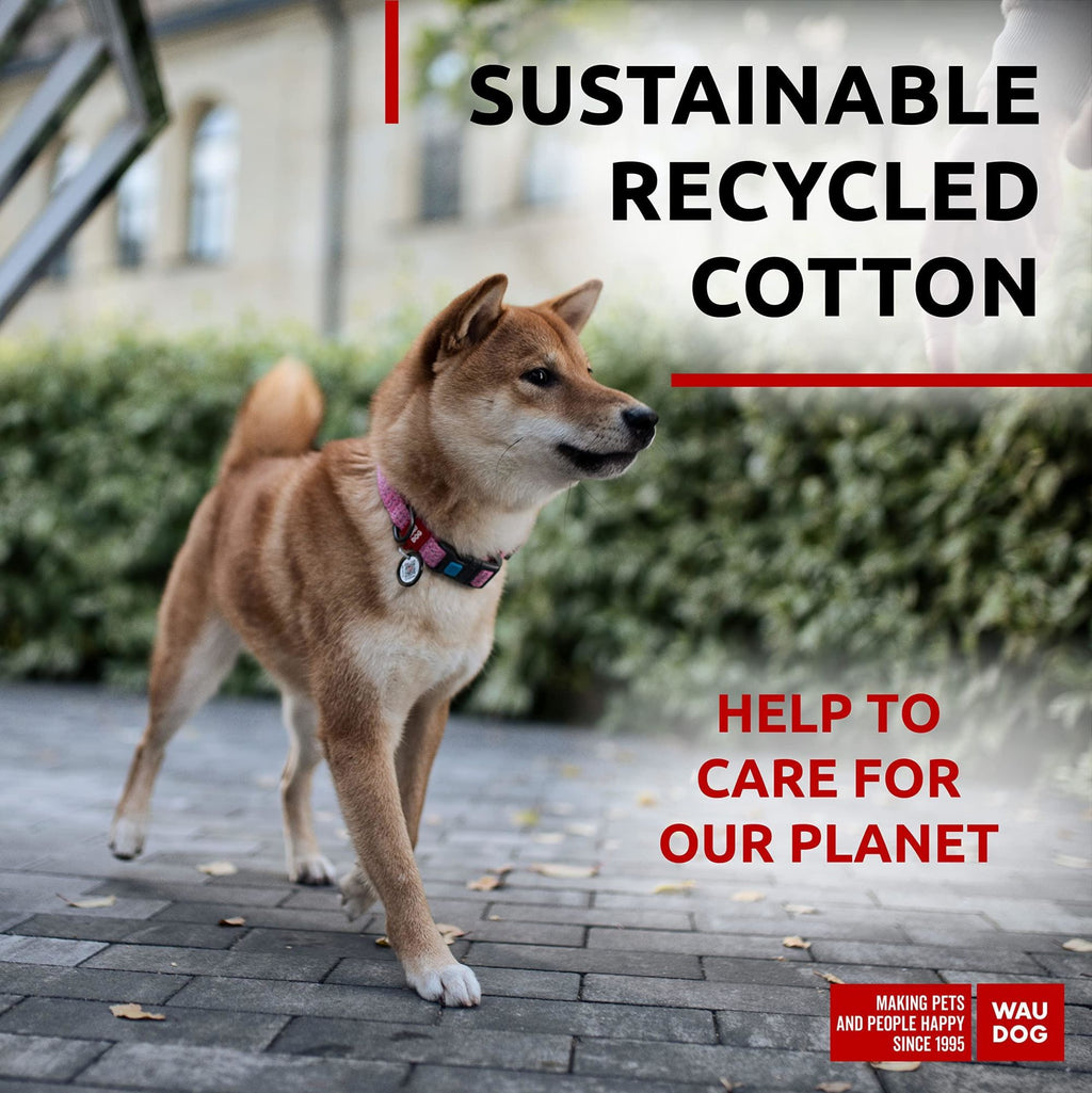 Eco Friendly Recycled Cotton Dog Collar for Dogs - Medium 10"-16"