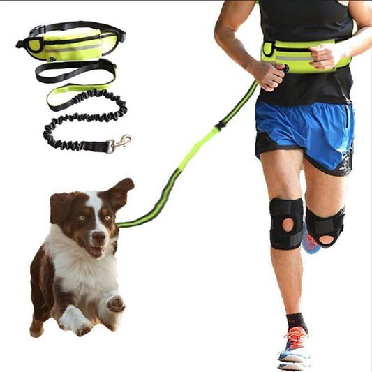 Reflective Elastic Hand Free Jogging Leash for Dog