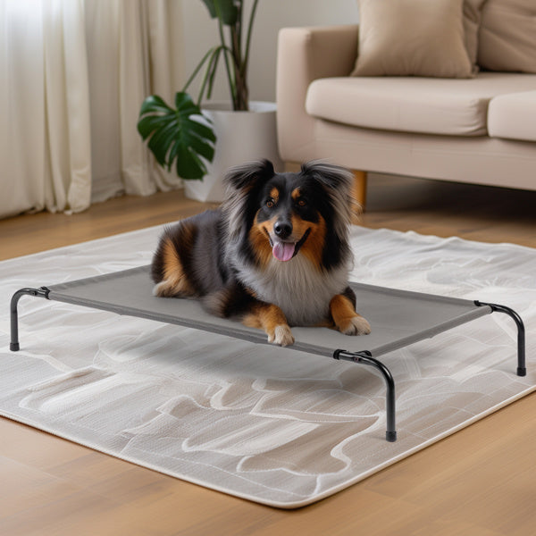 Sturdy Durable Elevated Large Bed for Dogs