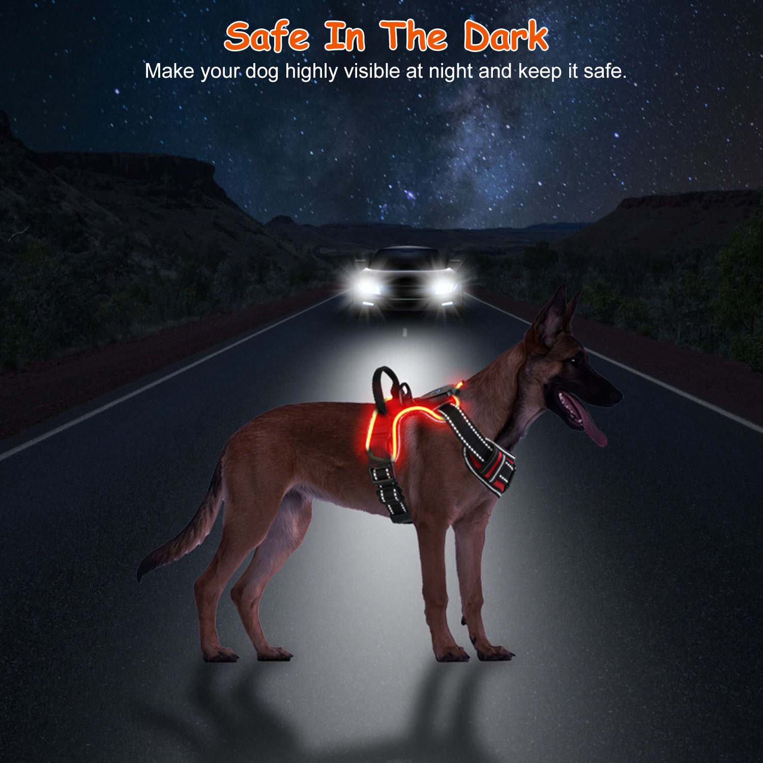 Rechargeable LED No Pull Harness Vest with Handle for Dogs