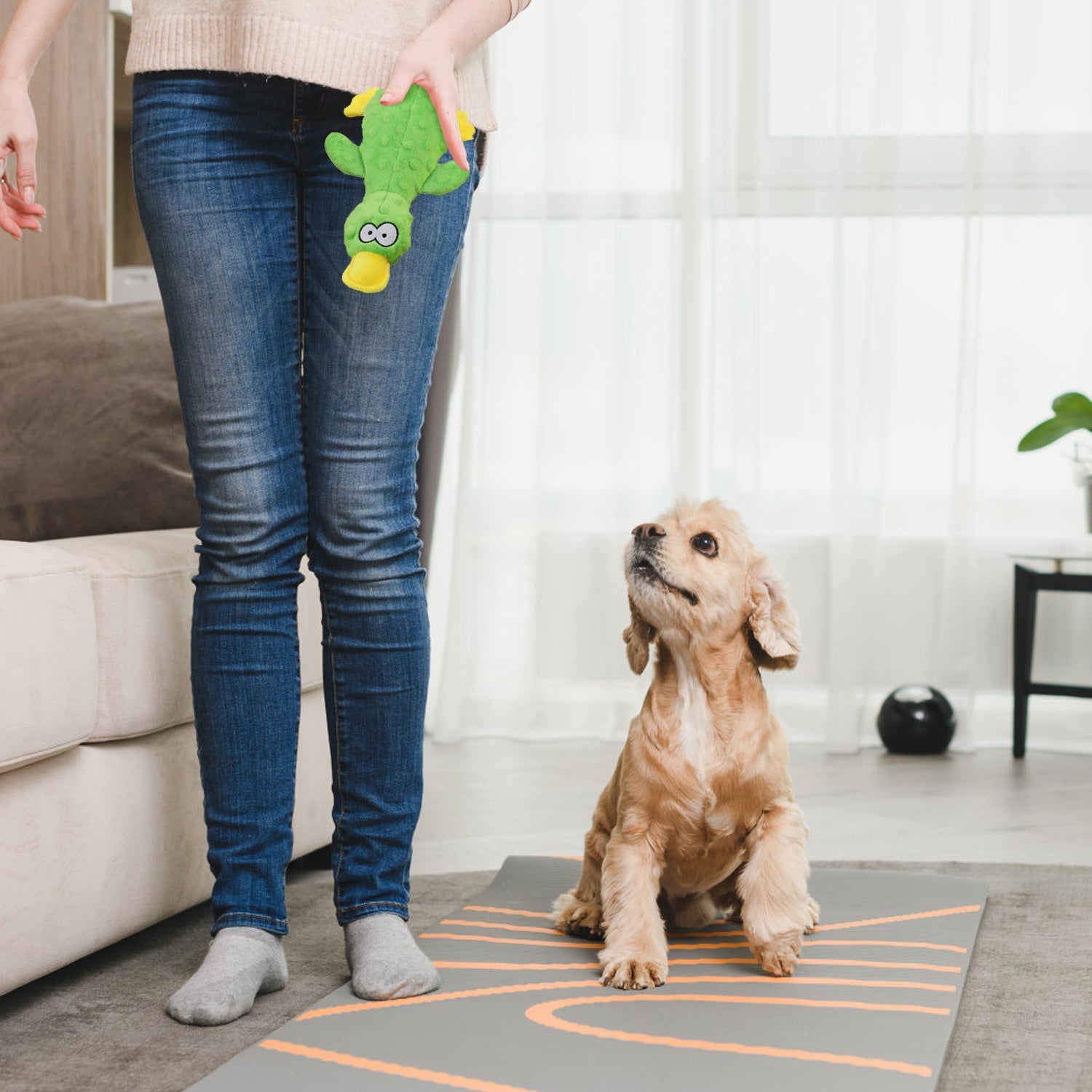 3 Piece Duck-Shaped Squeaky Toys for Dogs