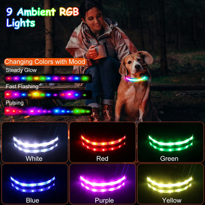 Light Up LED Safety Night Glow Collar for Dogs