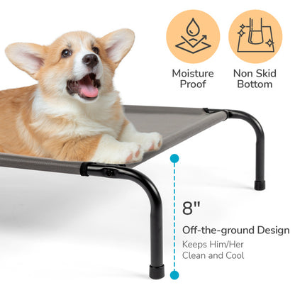 Sturdy Durable Elevated Large Bed for Dogs