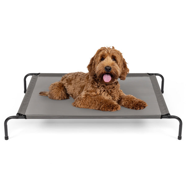 Sturdy Durable Elevated Large Bed for Dogs