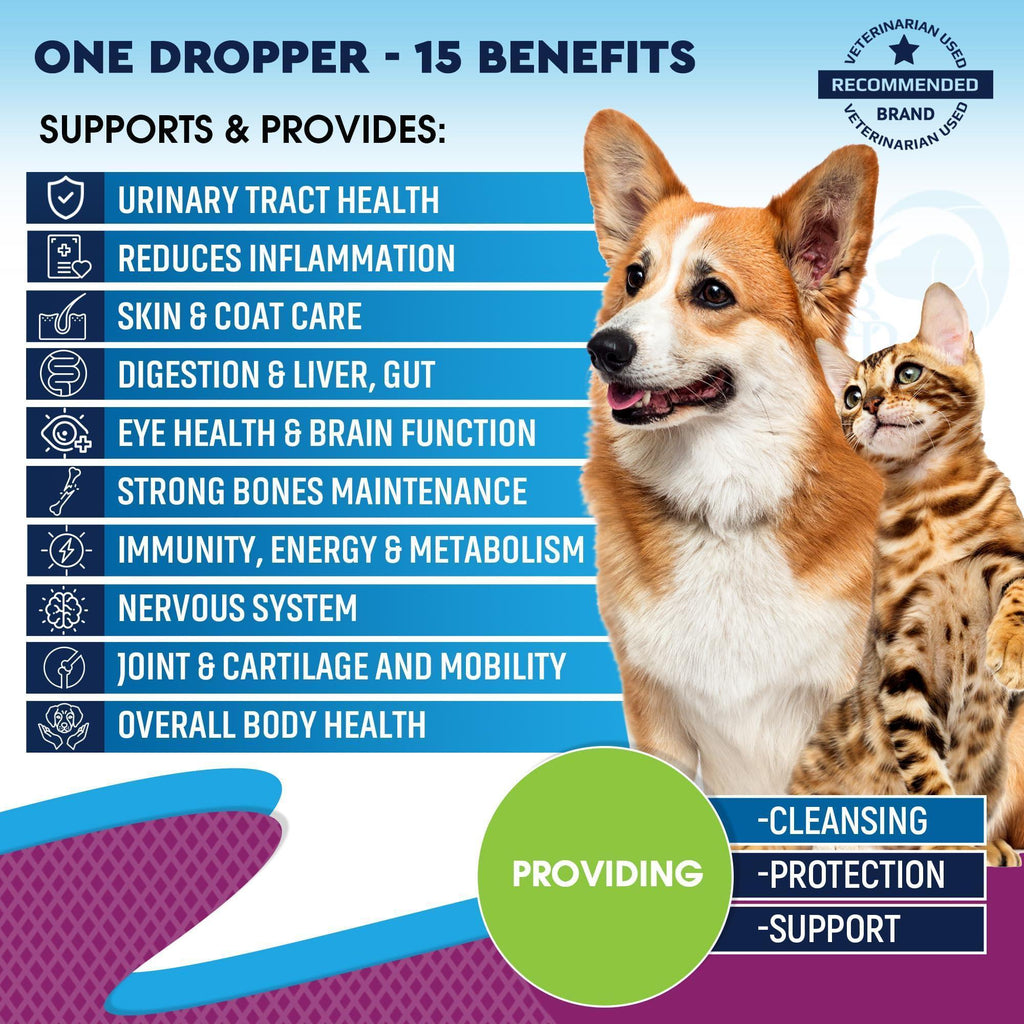 Multivitamin with Glucosamine and Cranberry Health Supplements for Dogs and Cats