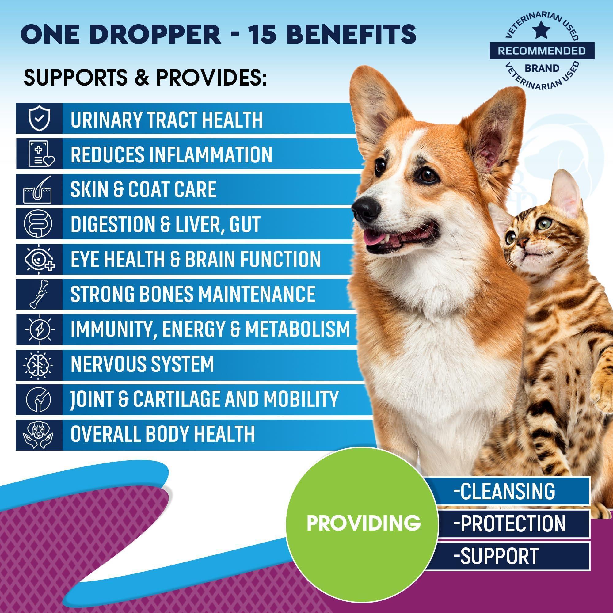 Multivitamin with Glucosamine and Cranberry Health Supplements for Dogs and Cats