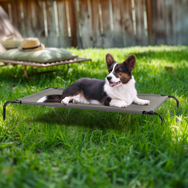 Sturdy Durable Elevated Large Bed for Dogs