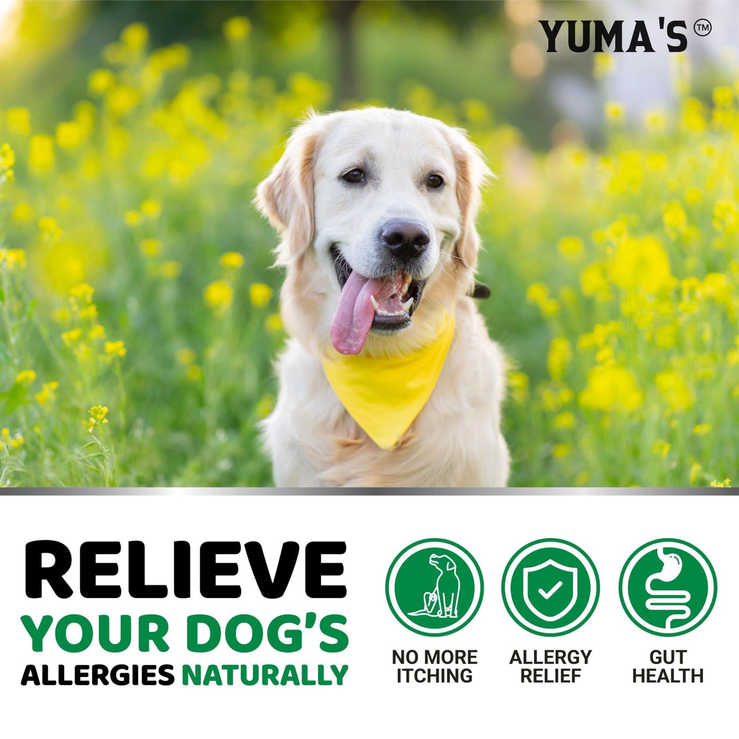 Yuma's - Allergy Relief Chews for Itching Skin Treatment for Dogs