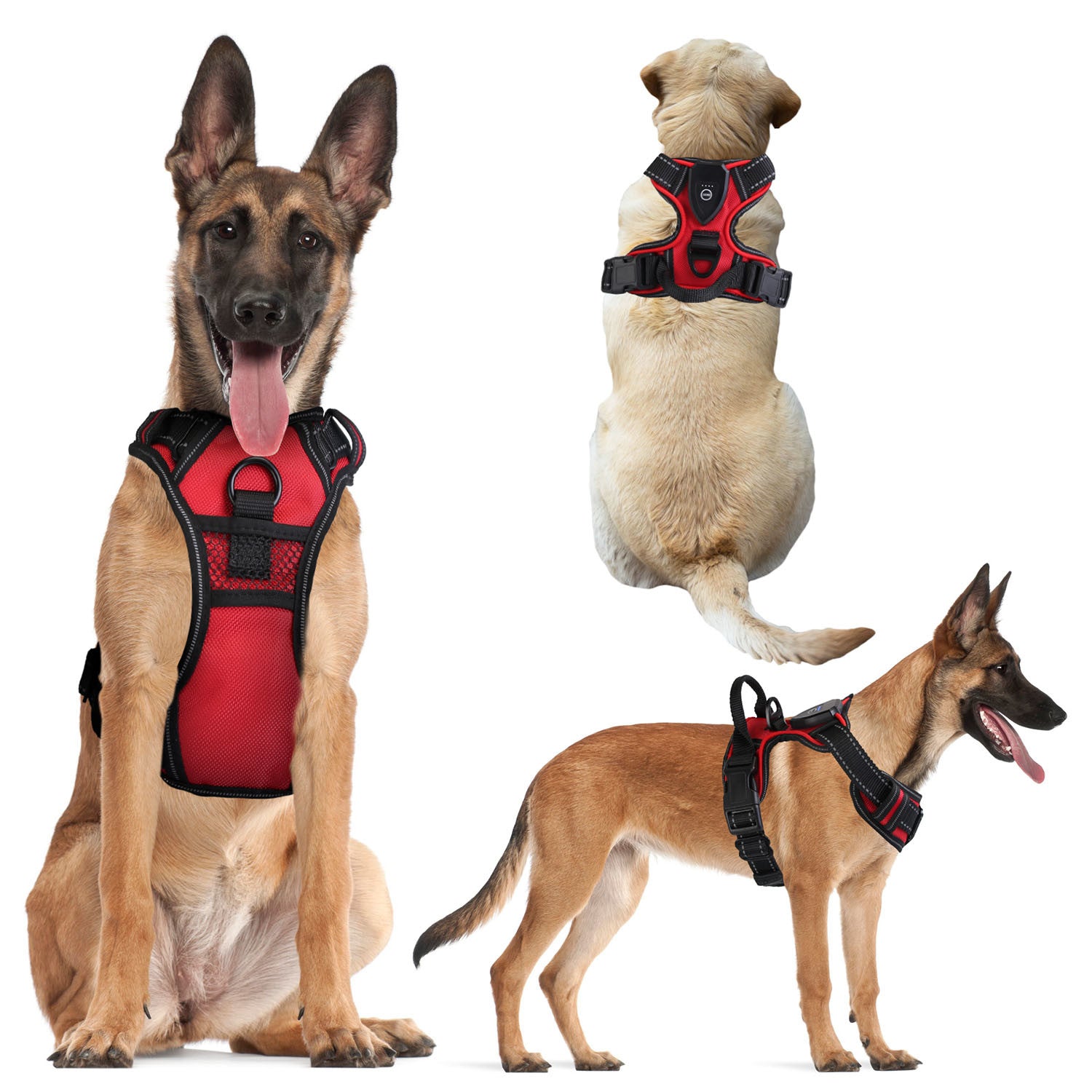 Rechargeable LED No Pull Harness Vest with Handle for Dogs