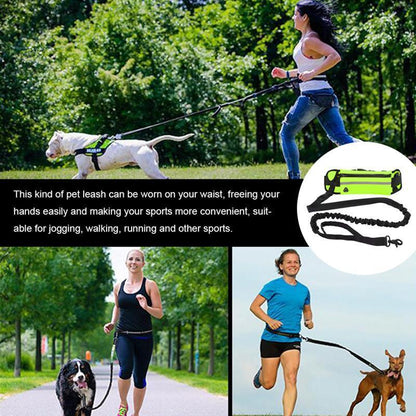 Reflective Elastic Hand Free Jogging Leash for Dog