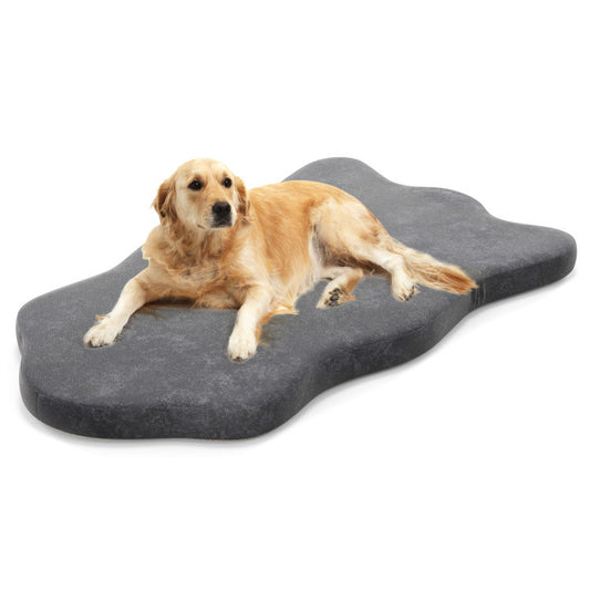 Orthopedic Memory Foam Support Bed for Large Dogs