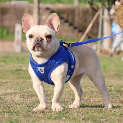 Reflective Leash and Mesh Vest Harness Set for Small Dogs