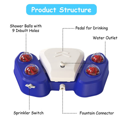 Multifunctional Step-on Activated Sprinkler and Drinking Fountain for Dogs