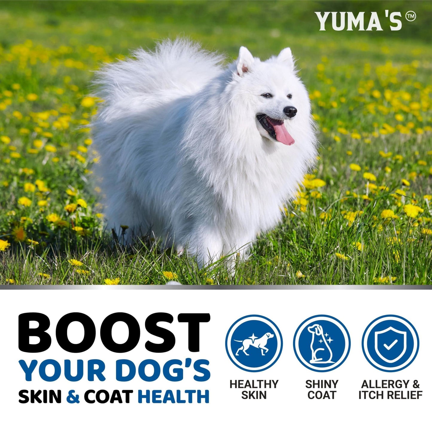 Yuma's - Omega 3 Fish Oil Skin and Coat Supplement Chews for Dogs