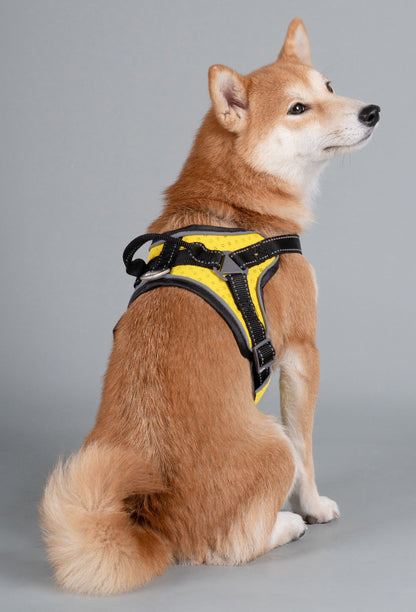 Helios 'Scorpion' Sporty High-Performance Free-Range Dog Harness