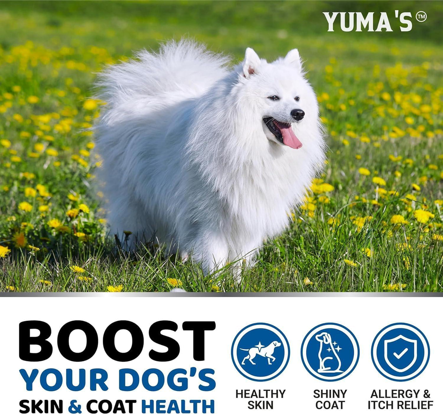 Limited Time!!!  Yuma's - 2 Pack Omega 3 Fish Oil for Skin and Coat Supplement for Dogs