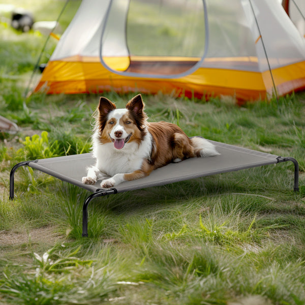 Sturdy Durable Elevated Large Bed for Dogs