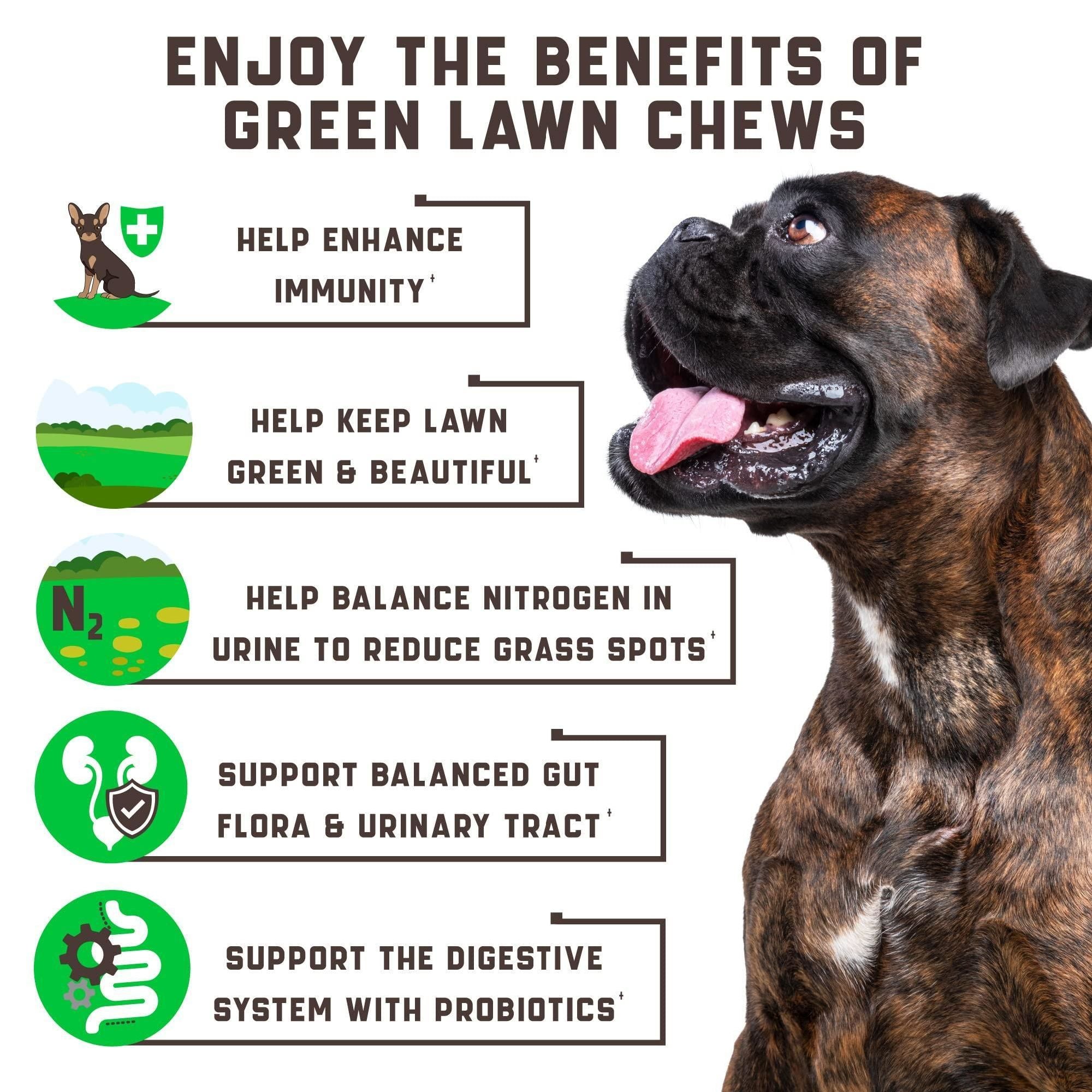 Green Lawn Natural Urinary Tract Health Chews for Dogs - 180 count