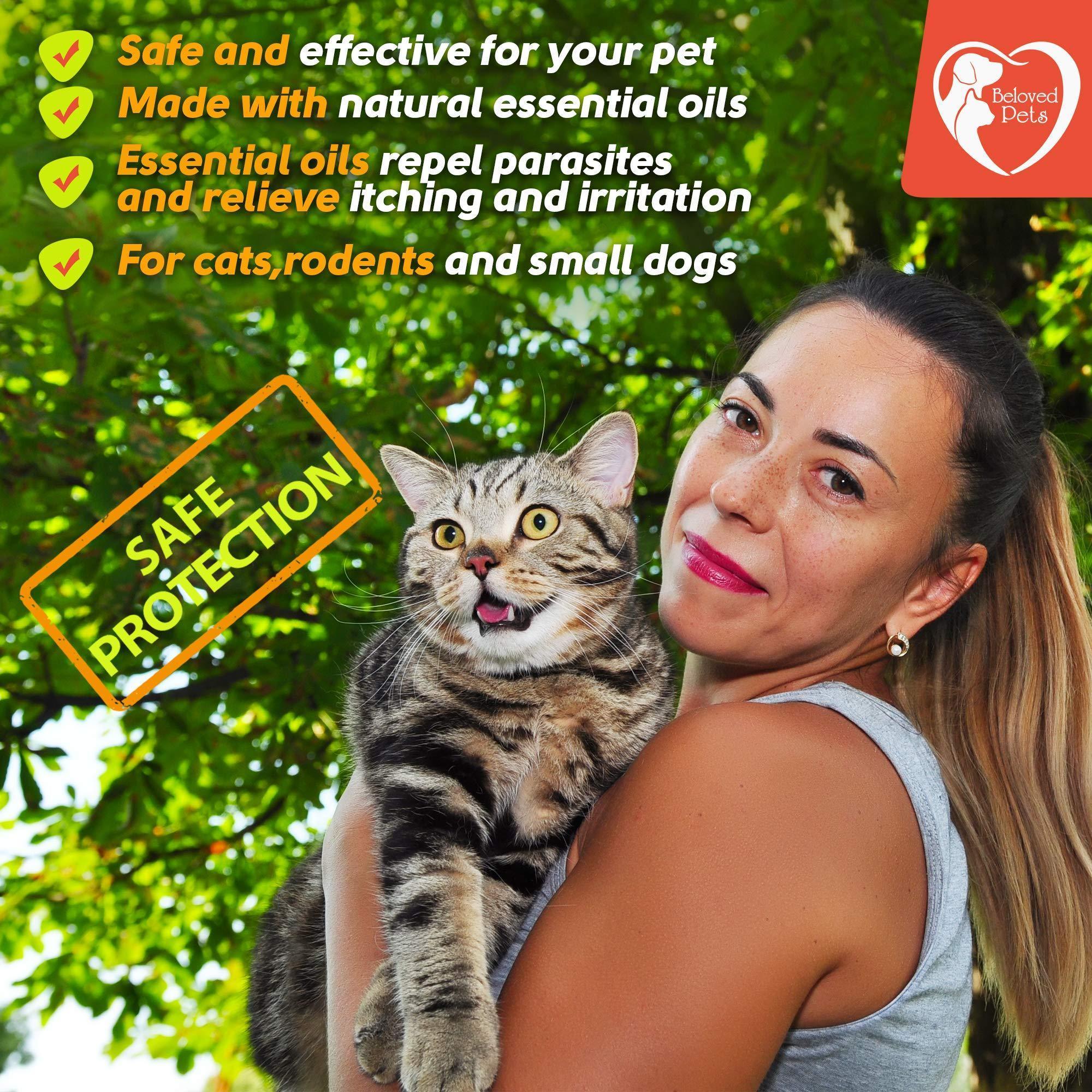 Natural  Flea and Tick Prevention Mosquito Repellent for Dogs and Cats
