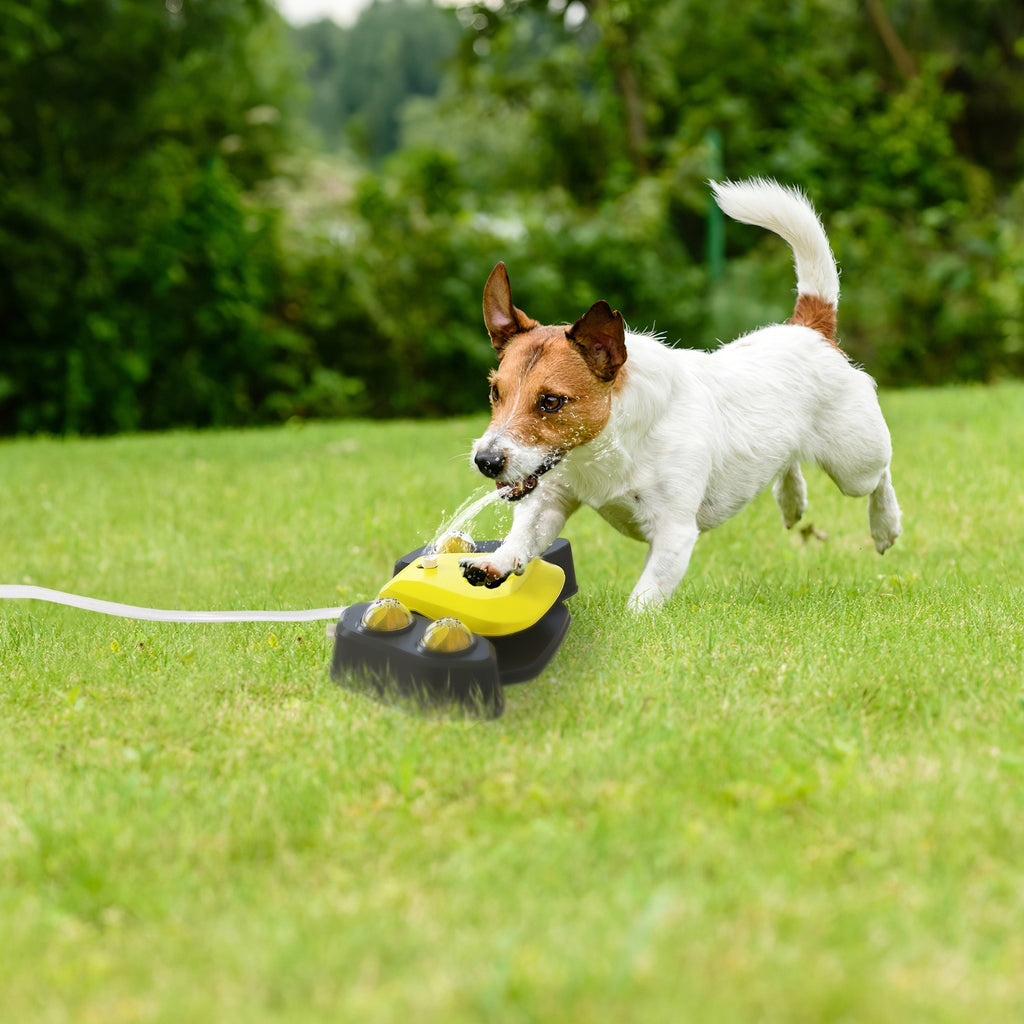 Step-on Activated Sprinkler and Drinking Fountain for Dogs