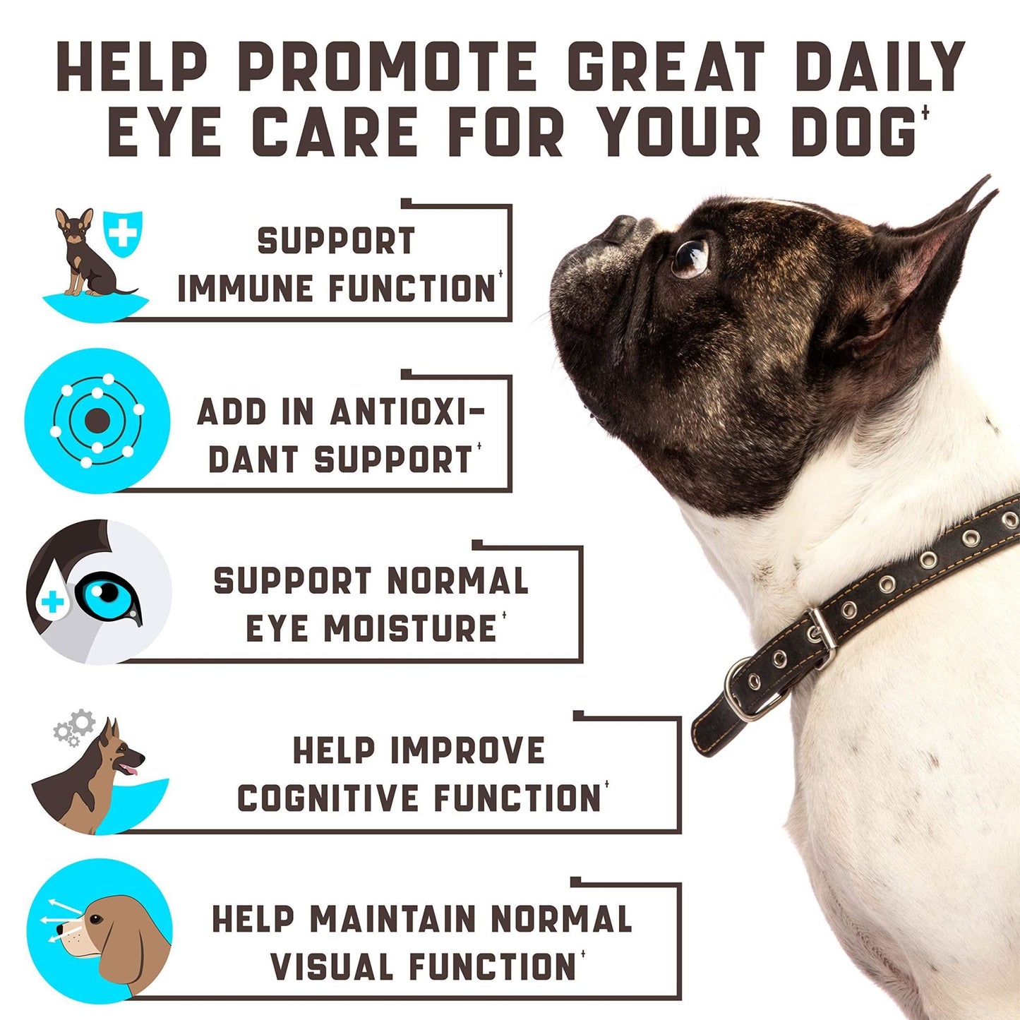 Vision Supplement for Eye Care and Immune Support for Dogs - 180 Soft Chews