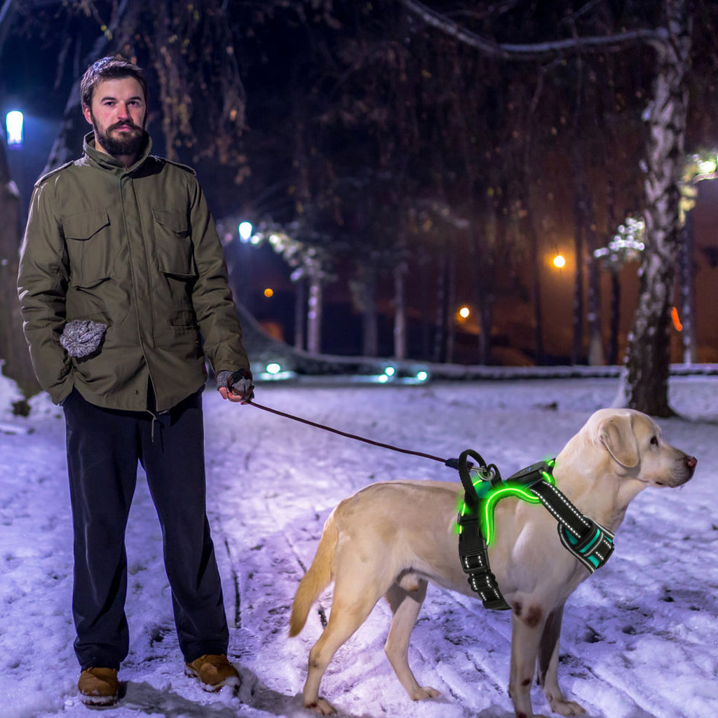 Rechargeable LED No Pull Harness Vest with Handle for Dogs