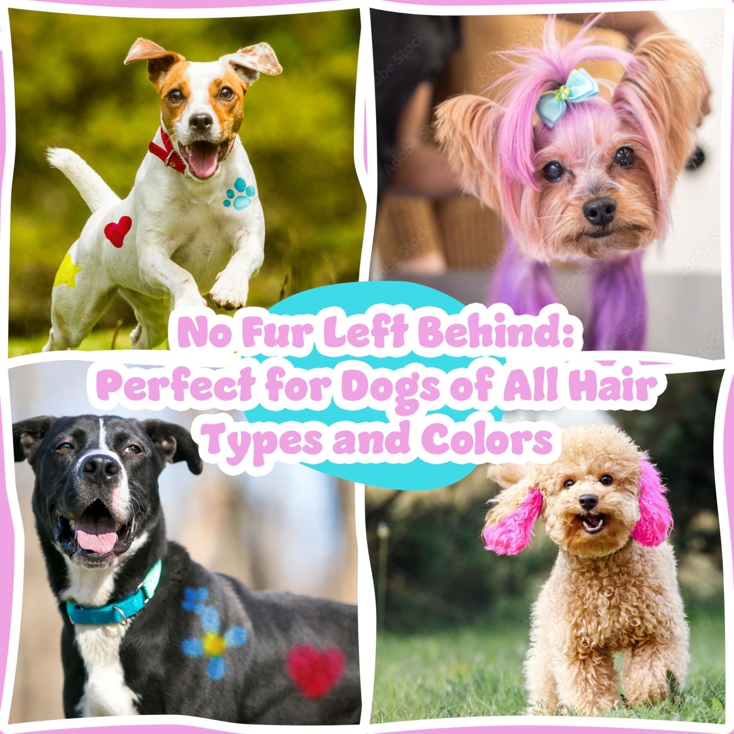 Safe Non Toxic and Temporary Hair Dye Colors for Dogs