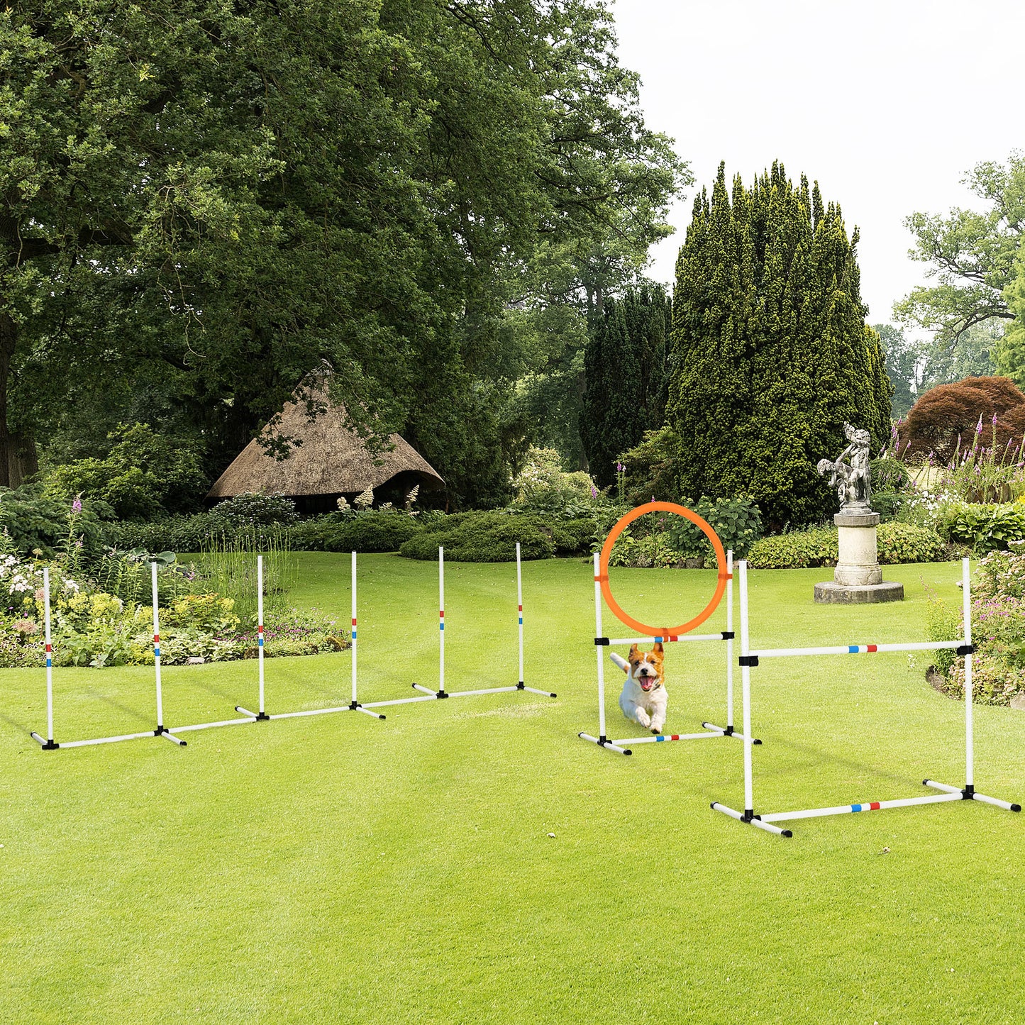 PawHut - Agility Obstacle Course Equipment Set for Dogs