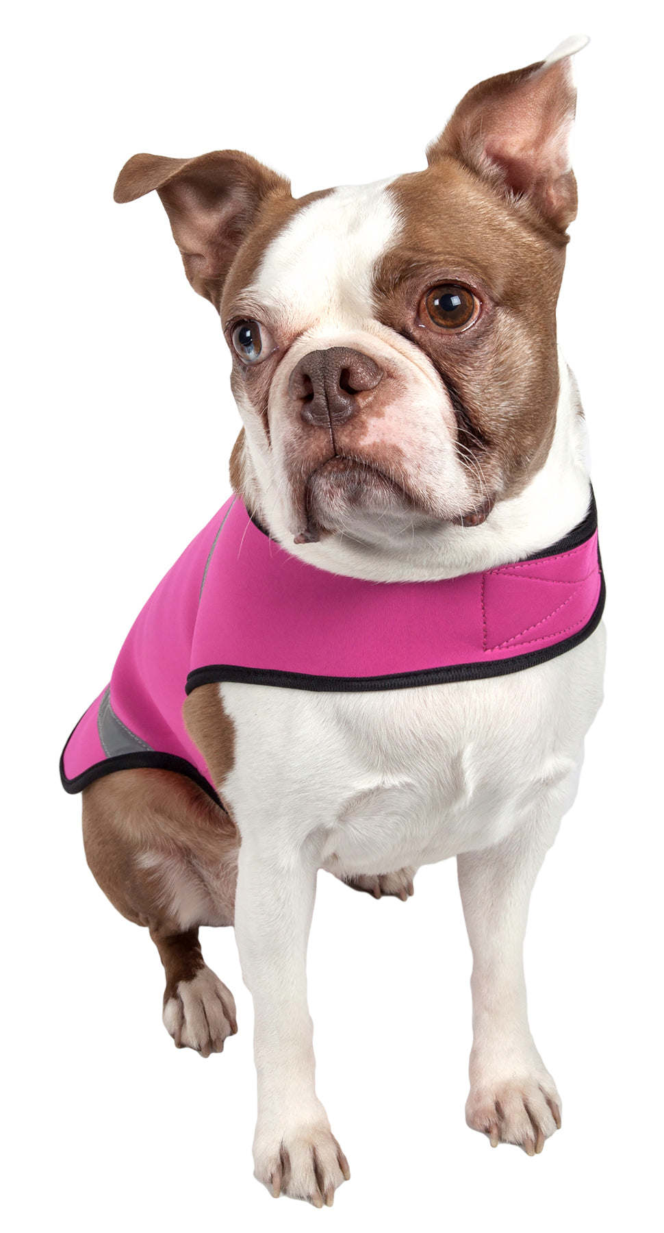 Pet Life - Extreme Neoprene - Multi-Purpose Protective Shell Dog Coat