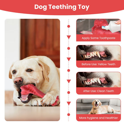 Dog Chew Bone with Beef Flavor for Aggressive Chewers