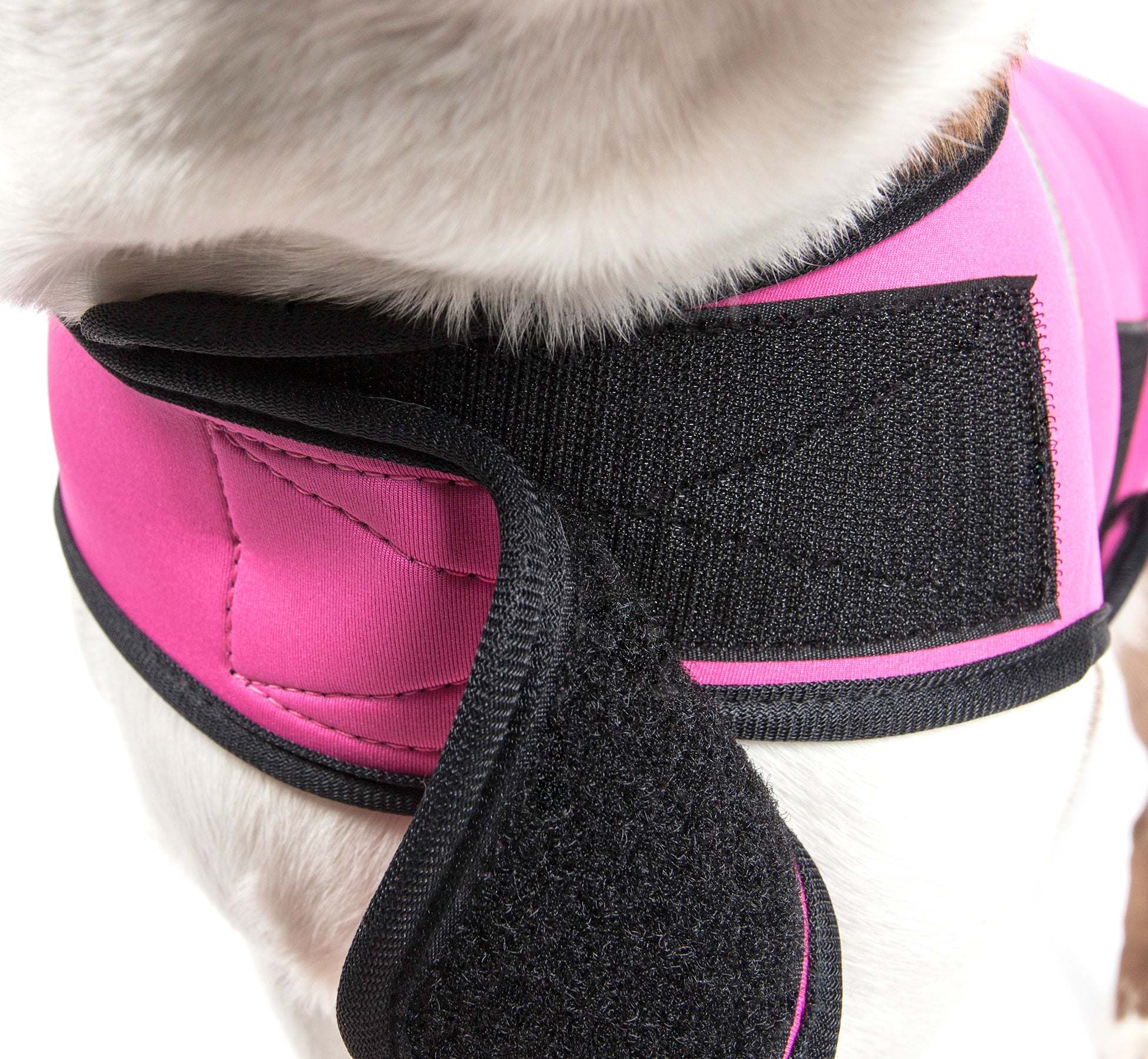 Pet Life - Extreme Neoprene - Multi-Purpose Protective Shell Dog Coat