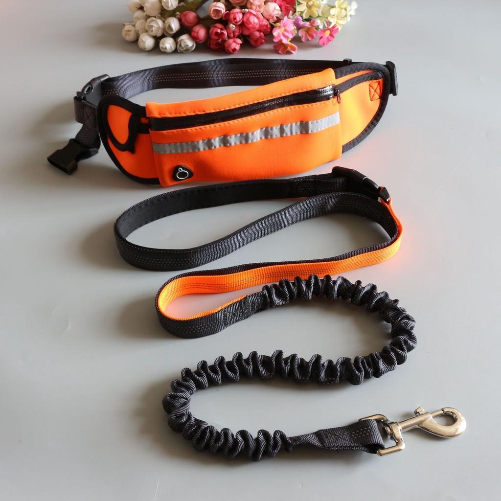 Reflective Elastic Hand Free Jogging Leash for Dog