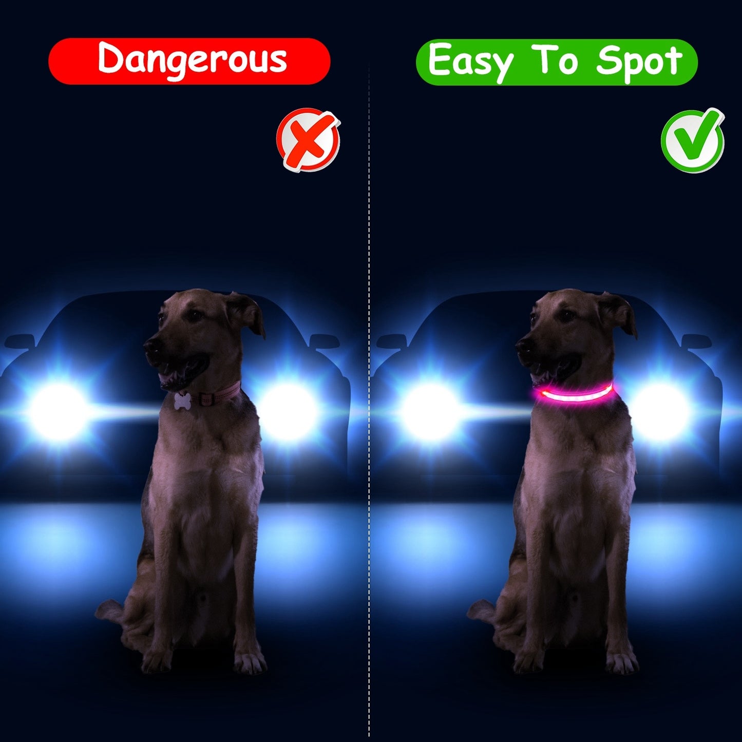 Light Up LED Safety Night Glow Collar for Dogs