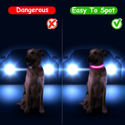 Light Up LED Safety Night Glow Collar for Dogs