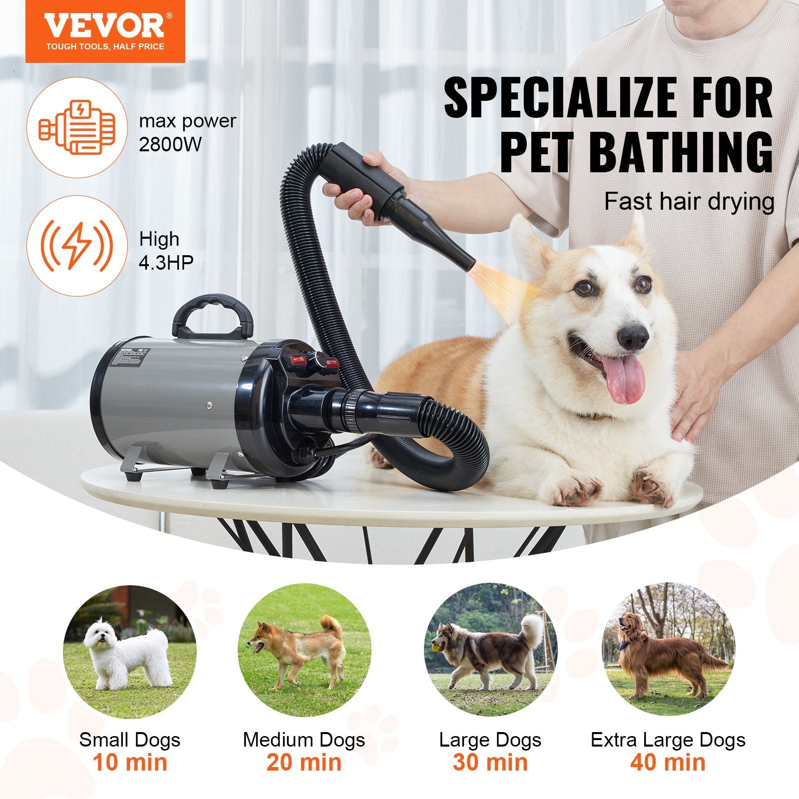 Professional Grooming Dryer with Adjustable Speed and Temperature Control for Dogs - Gray