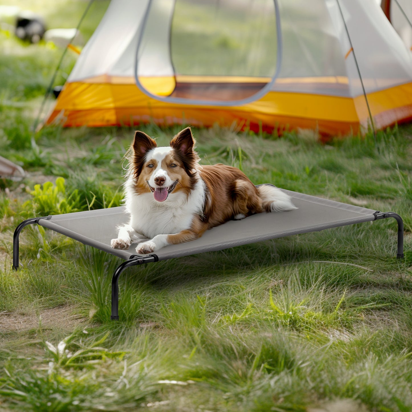 Sturdy Durable 8" Raised Platform Bed for Dogs