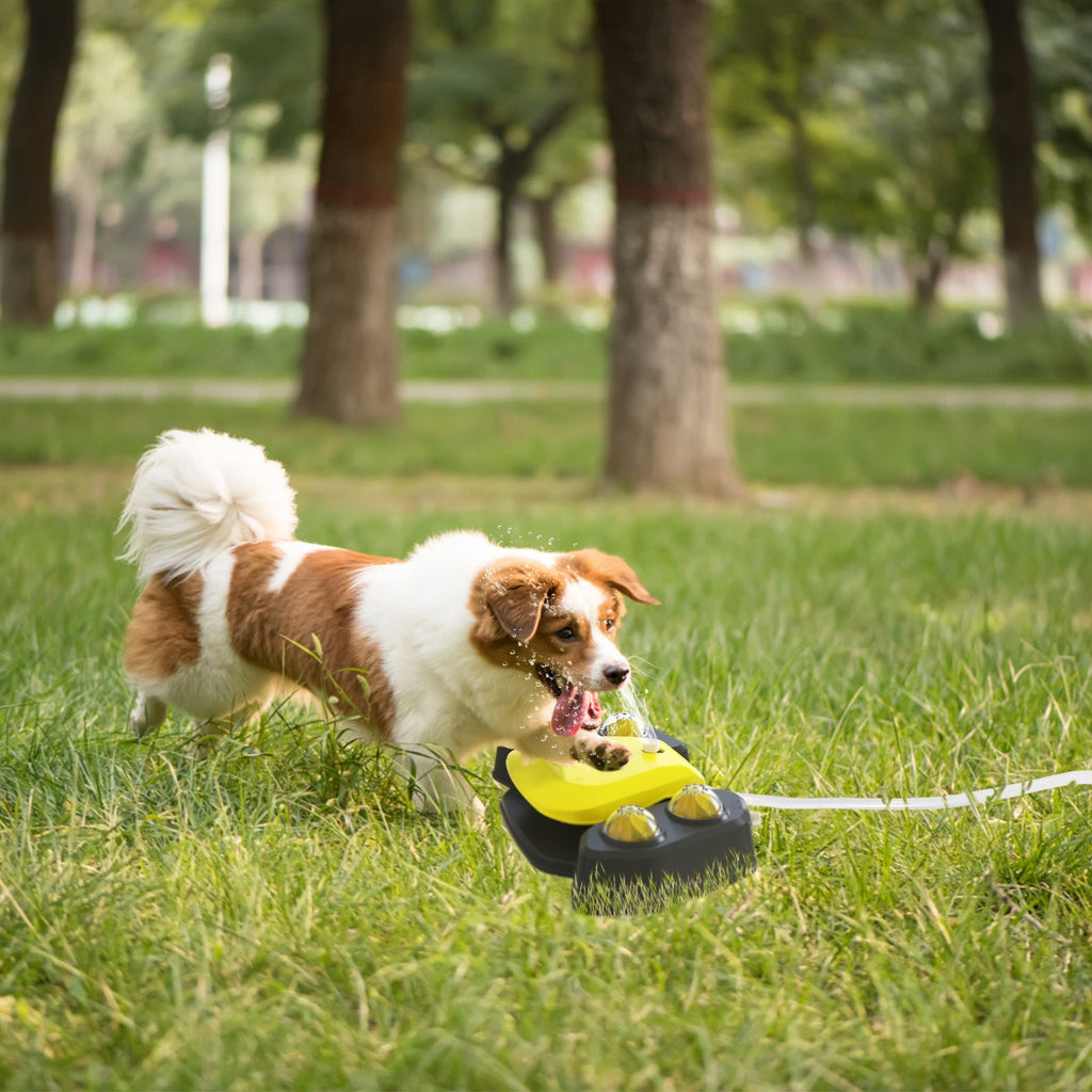 Step-on Activated Sprinkler and Drinking Fountain for Dogs