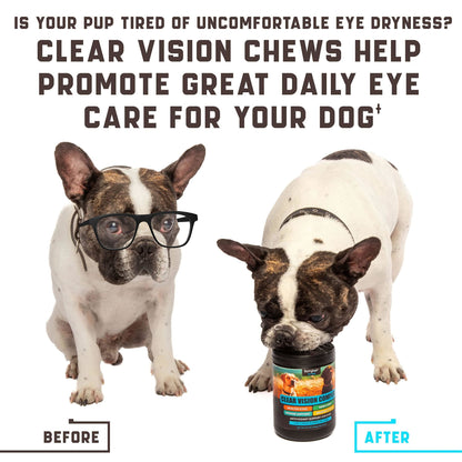 Vision Supplement for Eye Care and Immune Support for Dogs - 180 Soft Chews