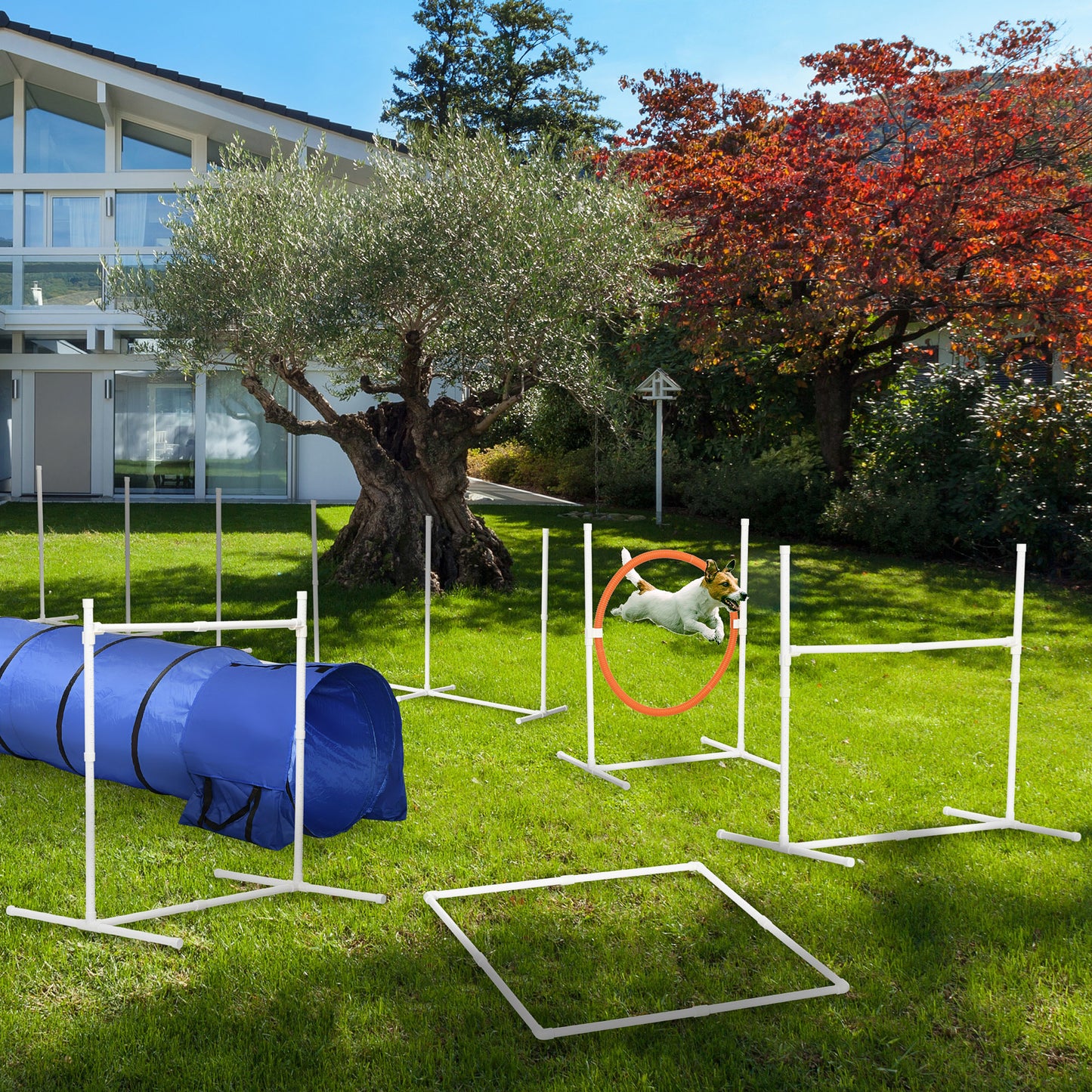 8-Piece Agility Training Equipment Set for Dogs