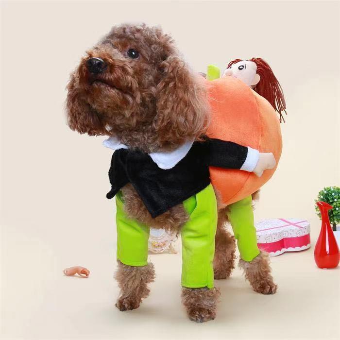 Pet Life - 'Pumpkin Man' Halloween Costume for Dogs