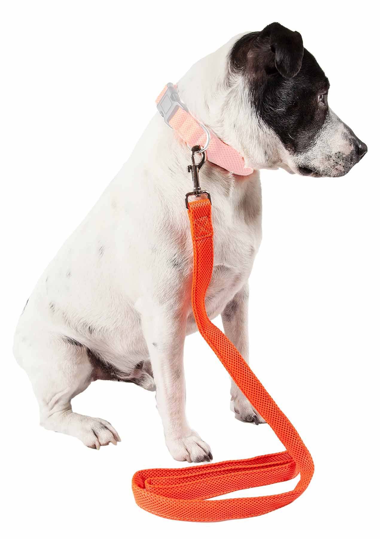 Pet Life 'Aero Mesh' Comfortable Adjustable Dog Leash