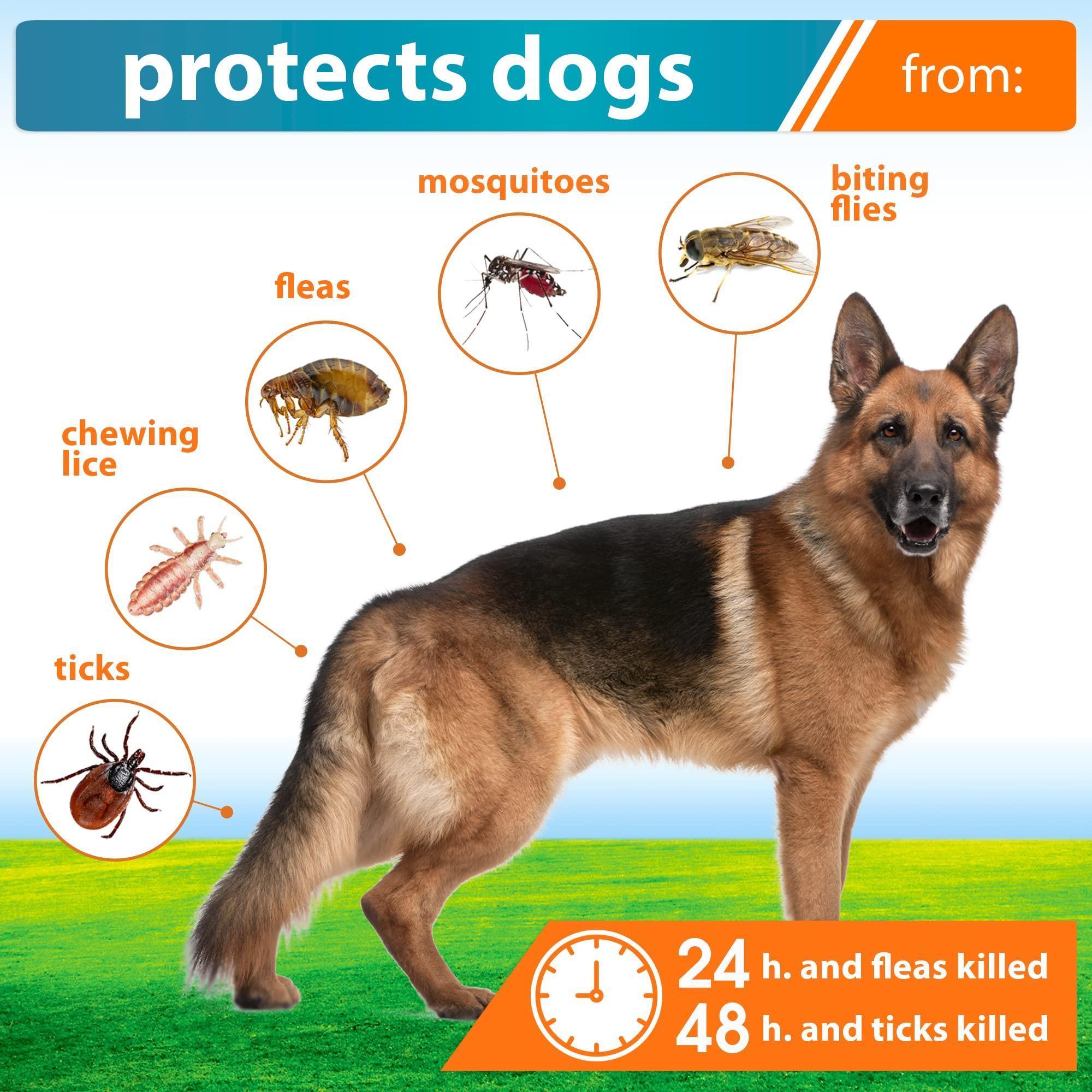 Flea and Tick Prevention with Mosquito Repellent for Dogs